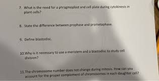 In animal cells, the plasma membrane of the parent cell moves inward along the answer: 7 What Is The Need For A Phragmoplast And Cell Plate Chegg Com