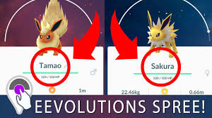 But be warned, this only works once per name, so use them wisely. How To Evolve Eevee Sakura Tamao Name Trick Works One Time Plus Eevolutions Spree Youtube
