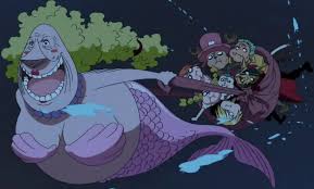 The term dugong comes from the word duyung in the malay language. Kokoro One Piece Wiki Fandom
