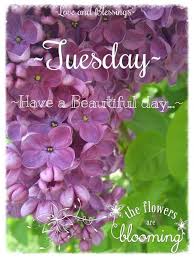 Little purple flowers that smell good. Have A Beautiful Tuesday Spring Flowers Beautiful Flowers Lilac