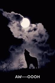 Share the best gifs now >>>. Howl At The Moon Gifs Tenor