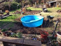 We Decided To Bury Our 8 Poly Stock Tank In The Backyard To Make It An In Ground Pool Or Little Spa Really We Bought Th Stock Tank Pool Tank Pool Stock