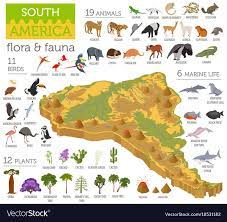 Isometric 3d South America Flora And Fauna Map Elements Animals Birds And Sea Life Build Your Own Geog South America Animals South America Map South America