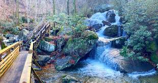 Flowersome photography is at high shoals falls. Another Picture Of Yesterday S Hike To High Shoals Falls This Is At The Halfway Ish Point If You Haven T Been Before I Highly Suggest It Nctrails