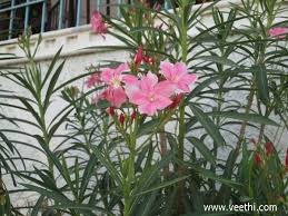 Pin On Tamilnadu Photos