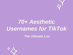 So, if you want to make a good impression with your username, . 70 Aesthetic Usernames For Tiktok The Ultimate List Turbofuture
