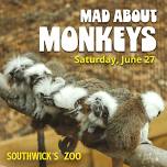Mad About Monkeys