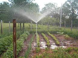 Home Made Sprinkler Lawn And Garden Sprinkler Works Like Rain Sod Seed Greenhouse Garden Sprinklers Lawn Sprinklers Lawn And Garden