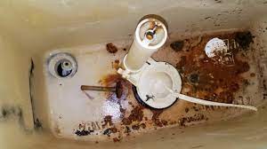 Mix a paste of equal parts of mild scouring powder, cream of tartar and hydrogen peroxide. How To Remove Rusted Toilet Bowl Tank Bolts Youtube