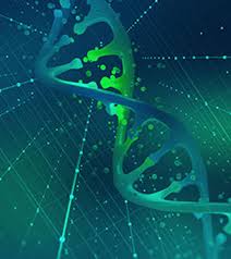 Omvil is used to treat runny nose, sneezing, itching, and watery eyes caused by allergies, the common cold, or the flu. Anti Allergic National Pharmaceutical Industries Co Saoc