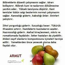 Armut Faydalari Health Food Health Corner Natural Food