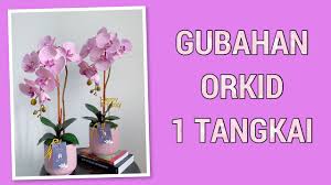Check spelling or type a new query. Gubahan Orkid 1 Tangkai Orkidraya Gubahanorkid Orkidcantik Youtube