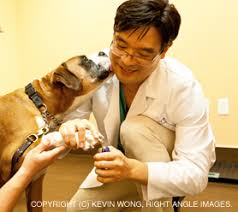 The makati animal health clinic offers a wide array of services for both cats and dogs. Hk Animal Hospital In Danville Treats Your Pets With Gentle Care As If They Were Of Our Own