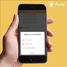 See actions taken by the people who manage and post content. Fuzzy Pet Health Launches A 10 Per Month Telemedicine Vet Care Plan Techcrunch
