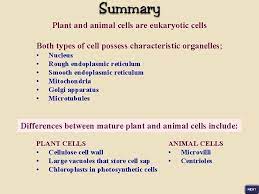 Plant cells have plasmodesmata, a cell wall, a large central vacuole, chloroplasts, and plastids. Sser Ltd Plant Cells Like Animal Cells Possess
