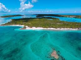 Pictures by vjom 3 / 140 sand dollar stock image by bwfolsom 3 / 52 sand dollar isolated on white background stock photographs by markross 4 / 25 sand dollar picture by bhamms 2. Kaufinseln Sand Dollar Cay Bahamas Caribbean
