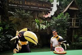 Jurong bird park is home to more than 3,500 birds of more than 400 species. Jurong Bird Park Icon Sunny The Hornbill To Turn Eight With A Special Birthday Celebration Singapore News Top Stories The Straits Times
