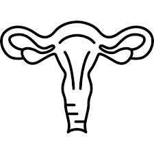 Baixe Utero Humano Gratuitamente Free Icons Vector Icon Design Vector Free