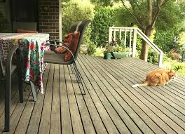 The evergreen tree has been valued for its ability to withstand salt spray and How To Have A Grey Gray Weathered Deck