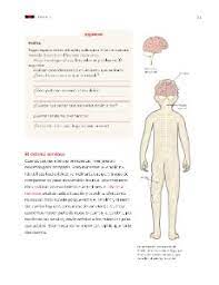 Paco el chato consta de 8 partes. Tema 1 Movimientos Del Cuerpo Y Prevencion De Lesiones Ayuda Para Tu Tarea De Ciencias Naturales Sep Primaria Tercero Respuestas Y Explicaciones