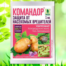 Kartofel Obrabotka Klubnej Pered Posadkoj Ot Koloradskogo Zhuka Chem Obrabotat Pered Prorashivaniem