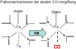 Warum ist eine kohlenmonoxidvergiftung rosig verfärbt? Https Bsafb De Media Pa14 01 2009 Aktuelle Therapie Der Akuten Rauchgas Und Co Intoxikation Pdf