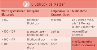 Und wie stark sollte er gesenkt werden? Vorsicht Vor Dem Stillen Killer Bluthochdruck Haustiger