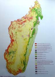 Du nord au sud, d'est en ouest, découvrez sur notre plan en un instant et en image l'emplacement des sites incontournables pour vous aider à préparer votre itinéraire. Carte De Vegetation De Madagascar Download Scientific Diagram