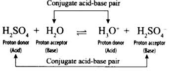 The conjugate acid of water is the hydronium ion, h3o+, an ion formed by the association of a hydrogen ion with a water molecule. Write A Balanced Equation For The Dissociation Of The Following In Water And Identify The Conjugate Acid Base Pairs Sarthaks Econnect Largest Online Education Community