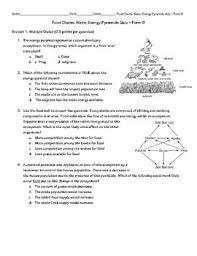 You'll love this handy food guide that won't leave you feeling deprived. Food Chain Web Energy Pyramid Quiz Form B By Patton Pedagogy Products
