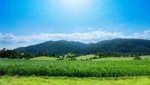 99 anzeigen von luxusimmobilien zum verkauf in australien: Immobilien Kaufen In Australien