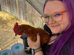 Rehoming a single hen near Taylorsville