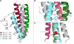 I still have the motor and transmission along with the frame and suspension. Frontiers Ph Induced Local Unfolding Of The Phl P 6 Pollen Allergen From Cph Md Molecular Biosciences
