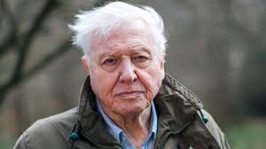 Make a difference for wildlife and for our environment! Sir David Attenborough To Explore Threat To Perfect Planet Bbc News