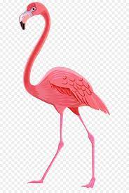 Flamingos Bird Clip Art Flamingo Png Transparent Clip Art Image Unlimited Download Kisspng Com Flamingo Art How To Draw Flamingo Flamingo