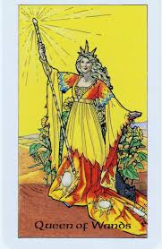 Pin On Card Of The Day
