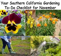 Maybe you would like to learn more about one of these? Your Southern California Gardening To Do Checklist For November Green Thumb Nursery