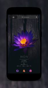Pin On Nova Setups