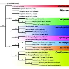 Julio C. Lazcano-Lara's research works