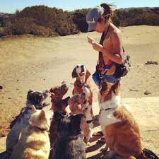 She has a degree in social work and another in poetry. About The Urban Paw