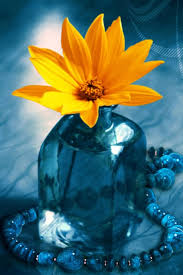 Check spelling or type a new query. Yellow Flower In A Blue Bottle