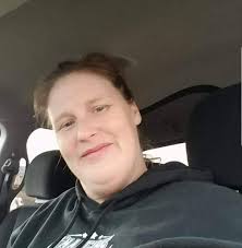 Free horses for good homes