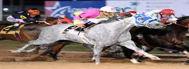 The adjustment will be implemented on wednesday the fields are set, and the excitement is building at sam houston race park for its most prestigious event of the 2021 thoroughbred racing season. Fm Im A Zatanaz Too Triumphs In The 440 600 Sam Houston Futurity G2 At Sam Houston Race Park Sam Houston Race Park
