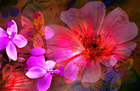 10 finest and most current spring flowers screensavers wallpaper for desktop computer with full hd 1080p (1920 × 1080) free. Beautiful Screensaver With Flowers Phone Wallpapers