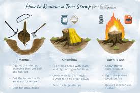 Unfortunately, stump removal is not something most amateurs should. 3 Ways To Remove A Tree Stump Without A Grinder