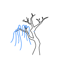 Draw two curved lines for the sides of the tree and connect them with another curved line along the top. How To Draw A Willow Tree Step By Step Easy Drawing Guides Drawing Howtos