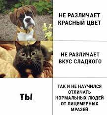 pin na doske interesno dlya ld