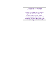 מיקה לפידולייט, ברזיל, 190 גרם. 2