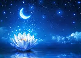 White Lotus Flower Moon Sky Night Lotus Flowers Stars 5k Wallpaper Hdwallpaper Desktop Sky Art Magic Background White Lotus Flower