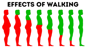 Check spelling or type a new query. How Much You Should Walk Every Day To Lose Weight Youtube